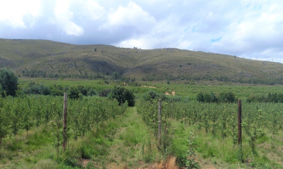 0 Bedroom Property for Sale in Uniondale Rural Western Cape